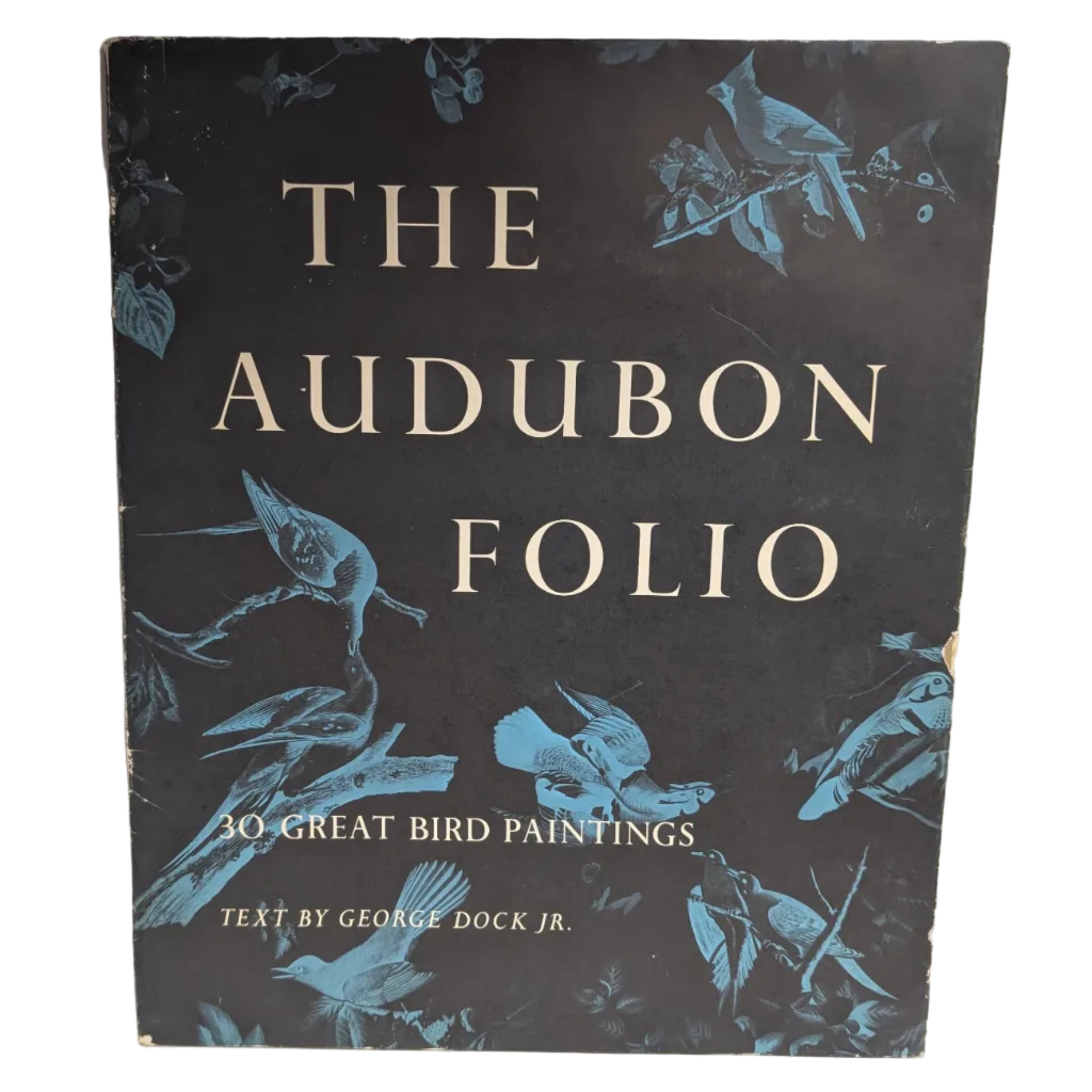 Audubon Folio 30 Great Bird Paintings - As Is