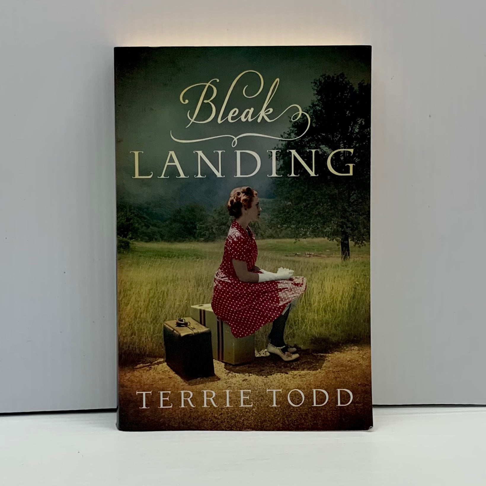 Bleak Landing by Terrie Todd (Signed Copy)