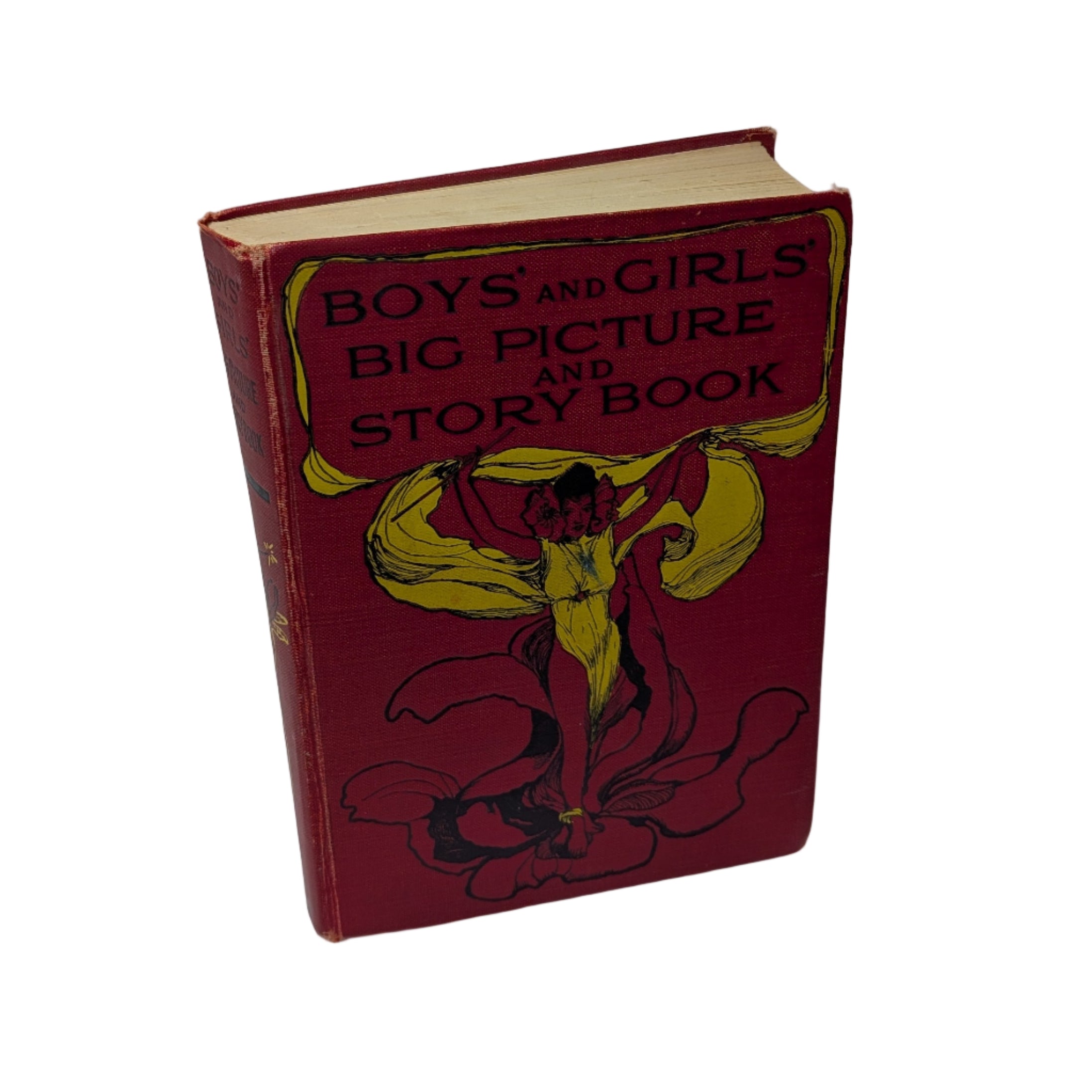 Boys' and Girls' Big Picture and Story Book