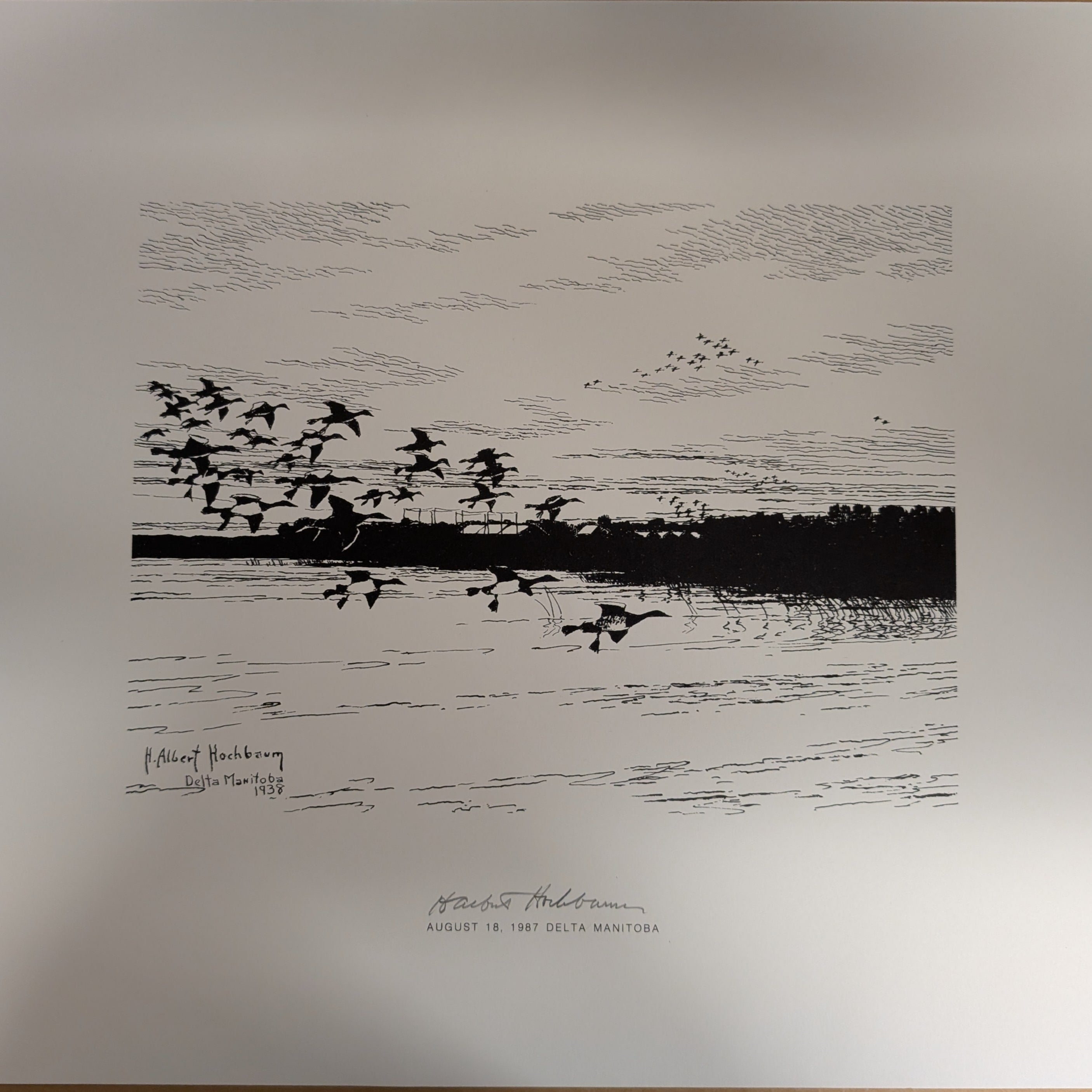 Flock of Birds at Delta Beach Print by H. Albert Hochbaum