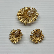 Load image into Gallery viewer, Boucher Collector Broach &amp; Earrings [Countdown Auction]
