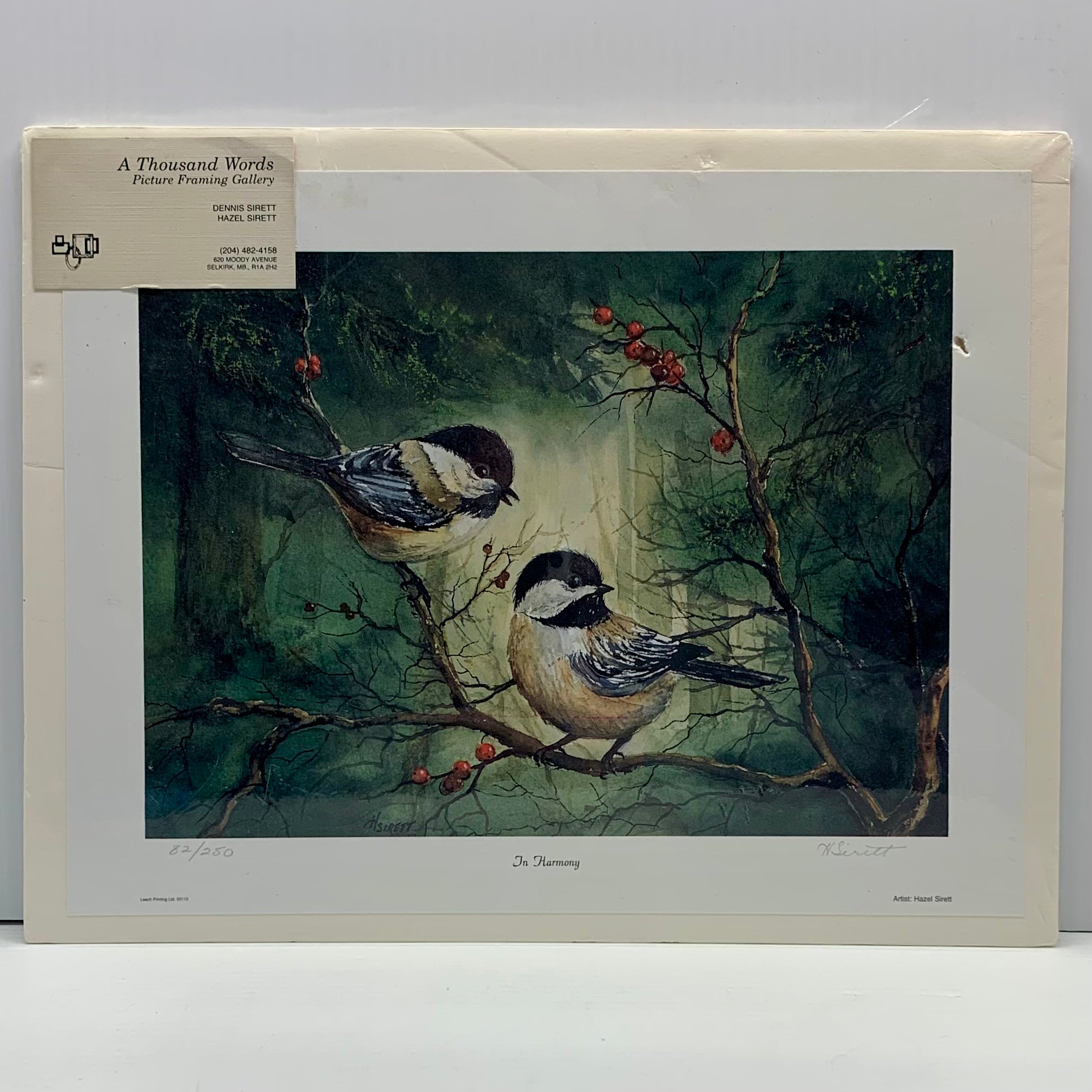 In Harmony by Hazel Sirett Limited Print 13”x 10”