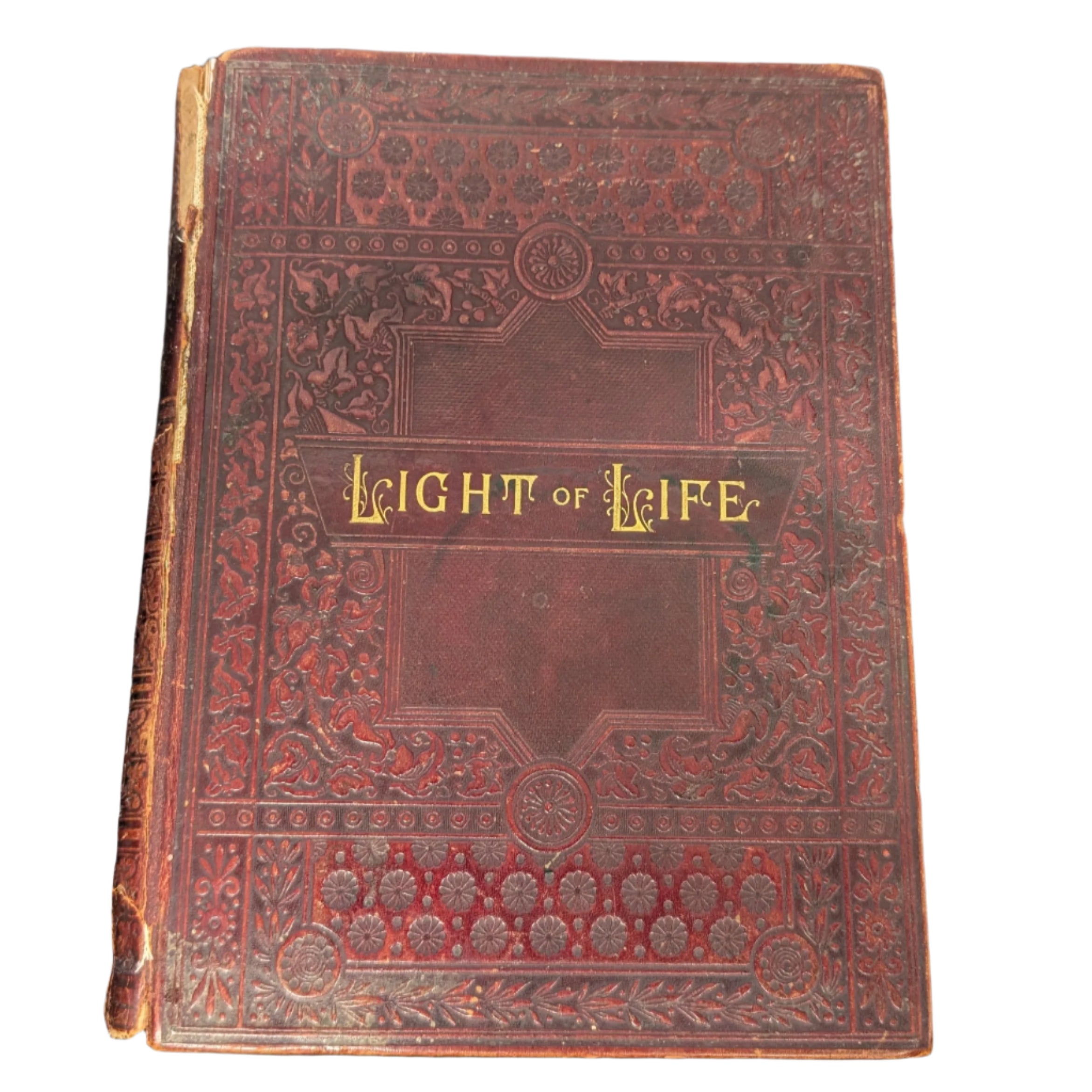 Light_of_Life_1899_-_Hardcover