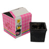 Miniature Flower Pot with Built-in Kenzan