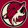 Arizona Coyotes Hockey Cards – 12-Card Set