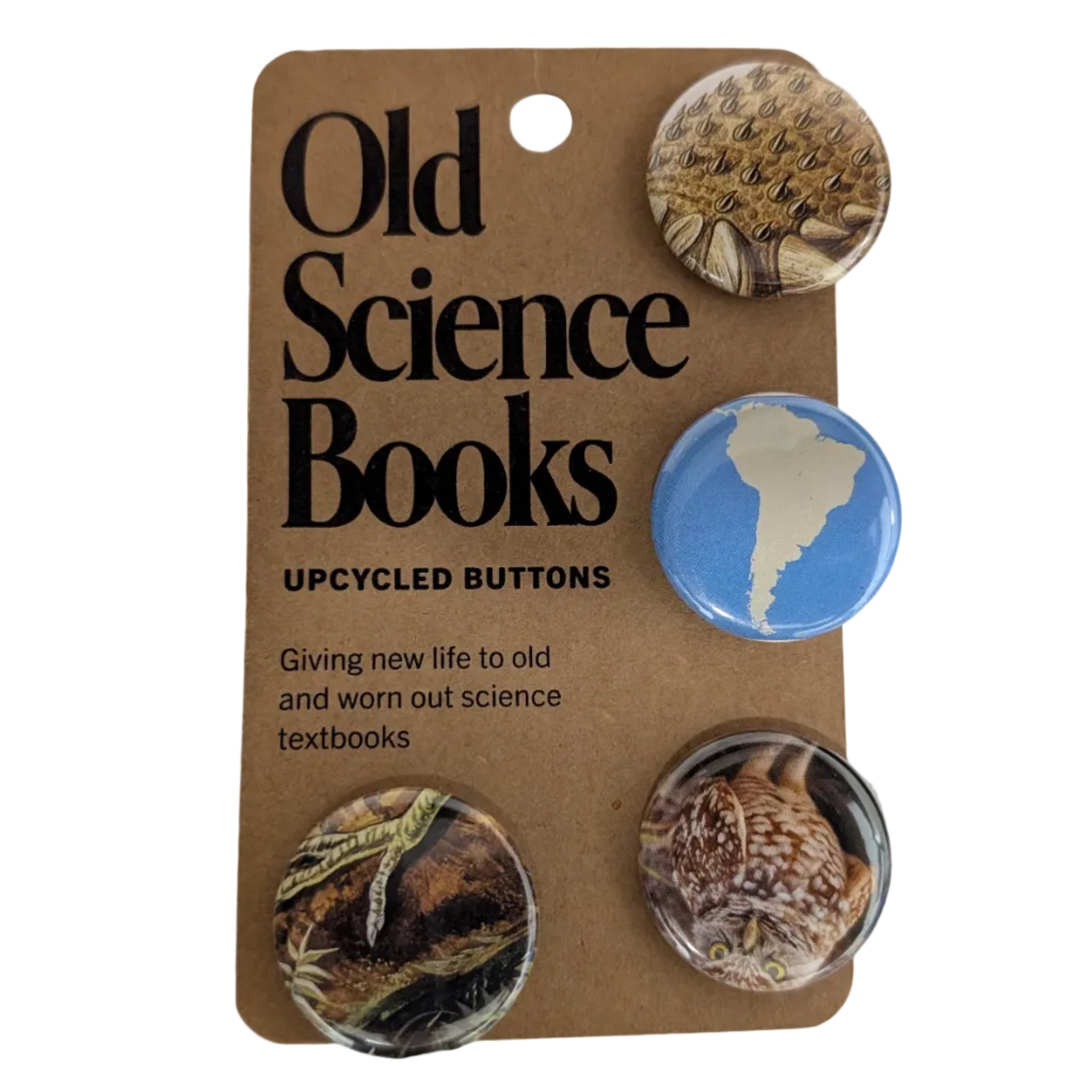 Old Science Books: Upcycled Buttons, Set of 4