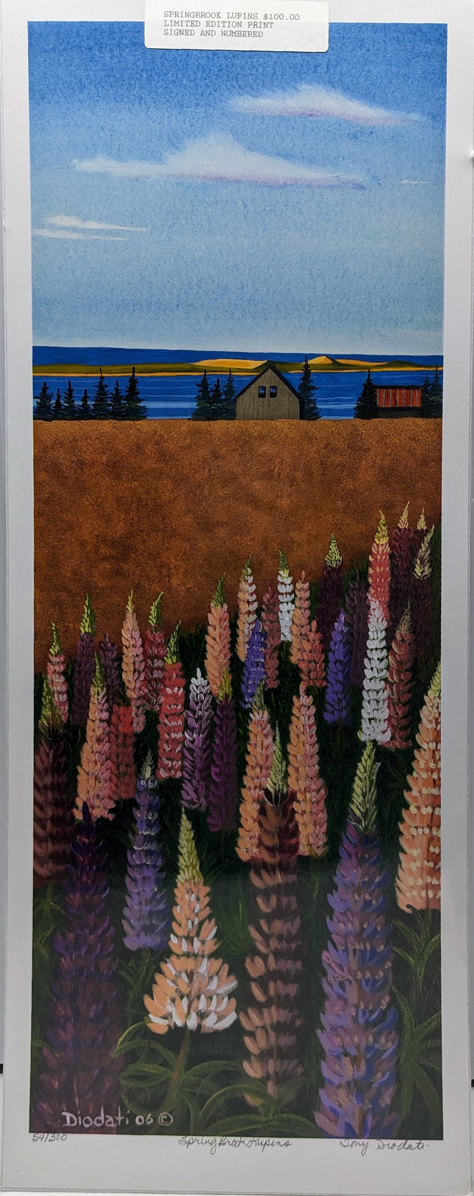 Spring Brook Lupins Limited Edition Print (signed & numbered) [New/Sealed] [Countdown Auction]