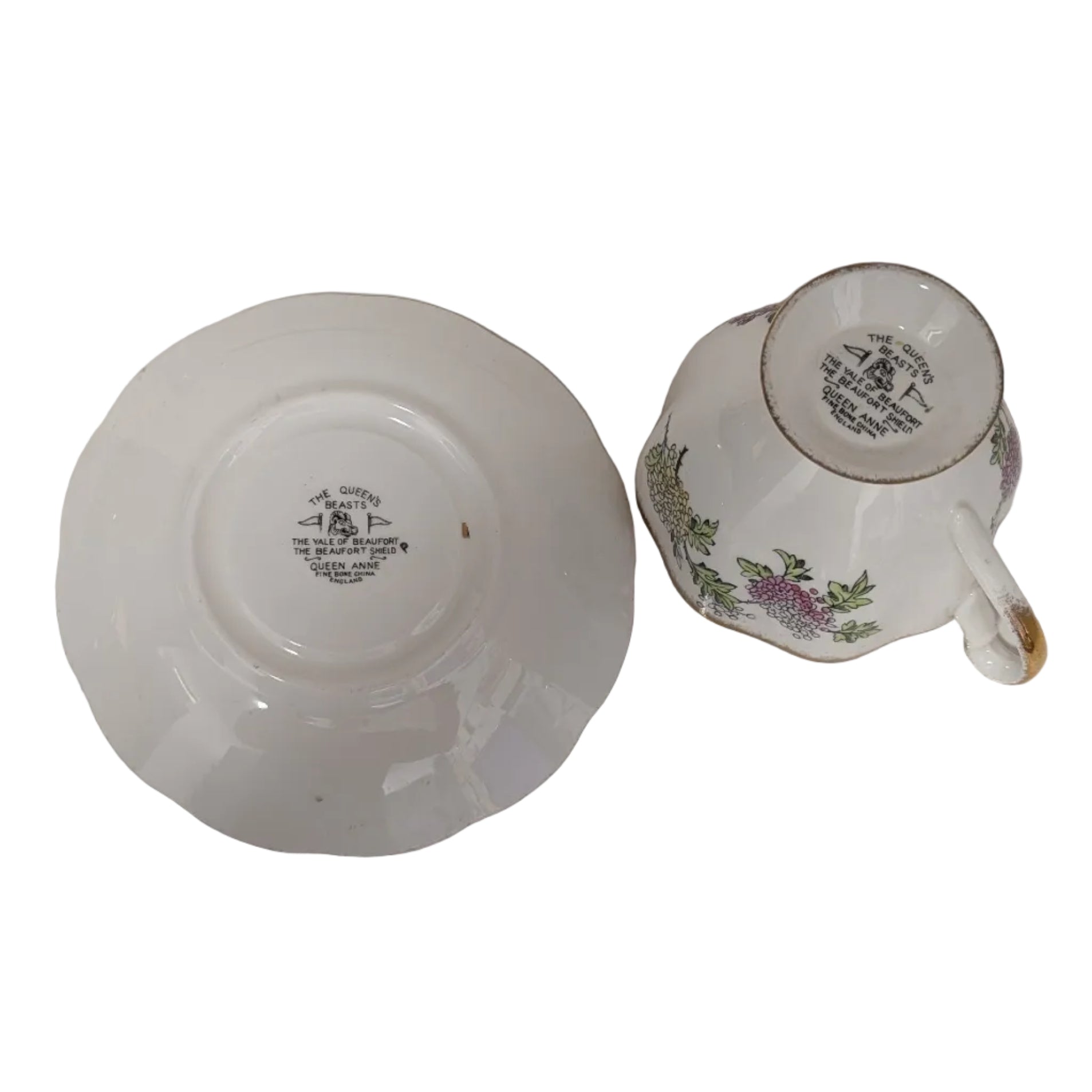 Queen Anne The Yale of Beaufort Cup & Saucer