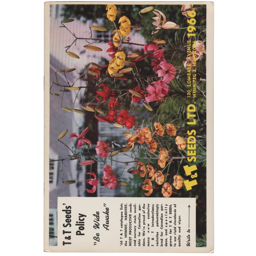 Floral seed packet with T.J. Seeds Ltd. branding on a gray background