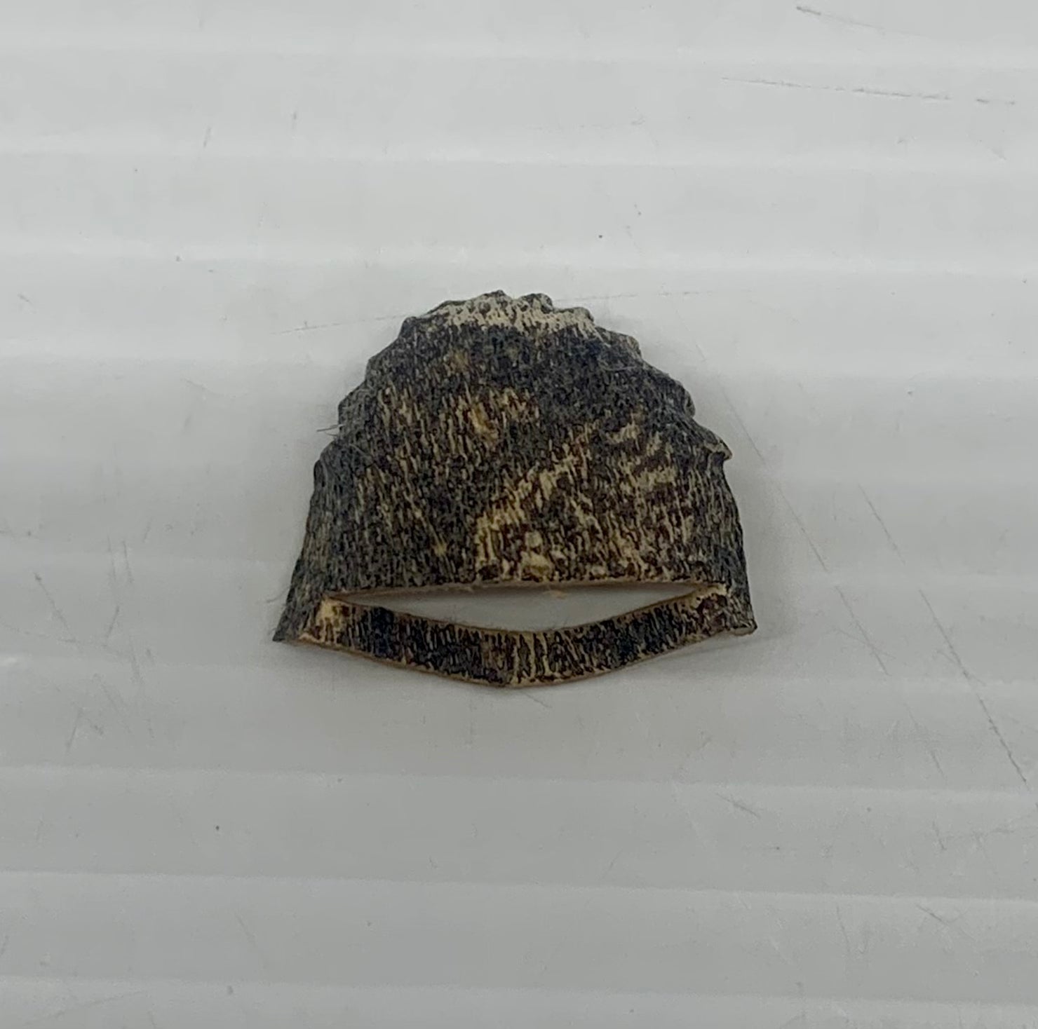 Seal Skin Thimble