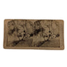 Stereograph – "The Golden Days of Autumn in Japan"