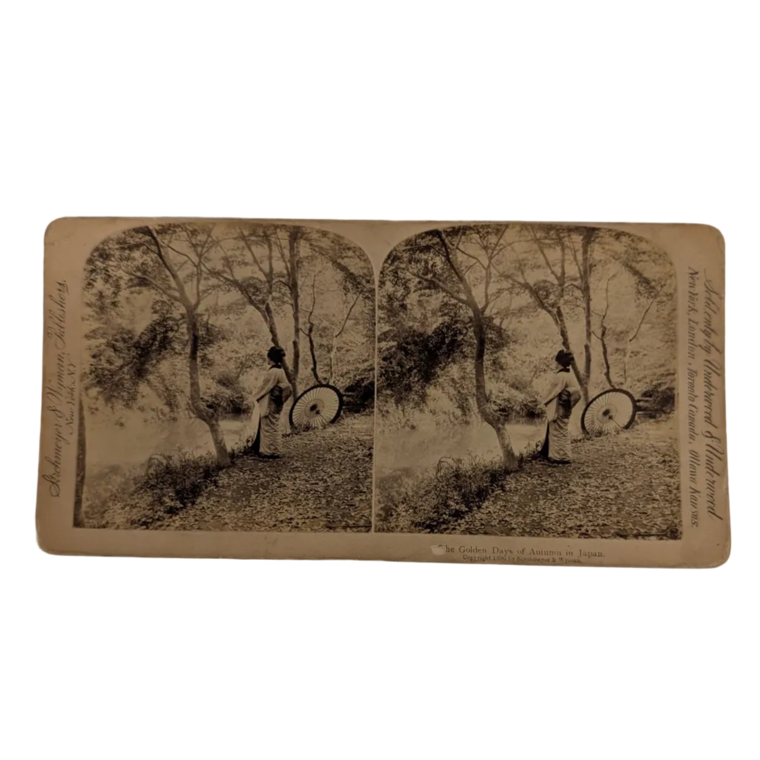 Stereograph – "The Golden Days of Autumn in Japan"