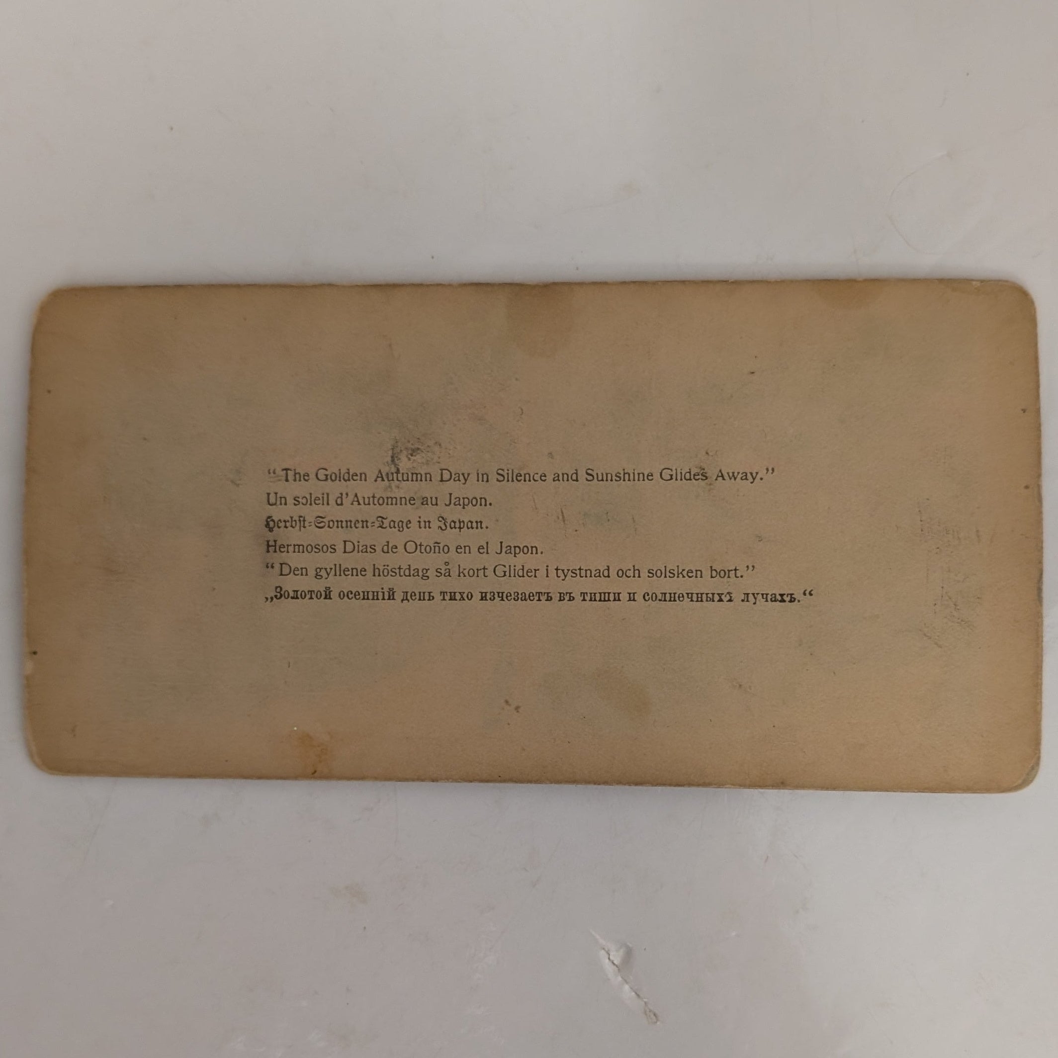 Stereograph – "The Golden Days of Autumn in Japan"