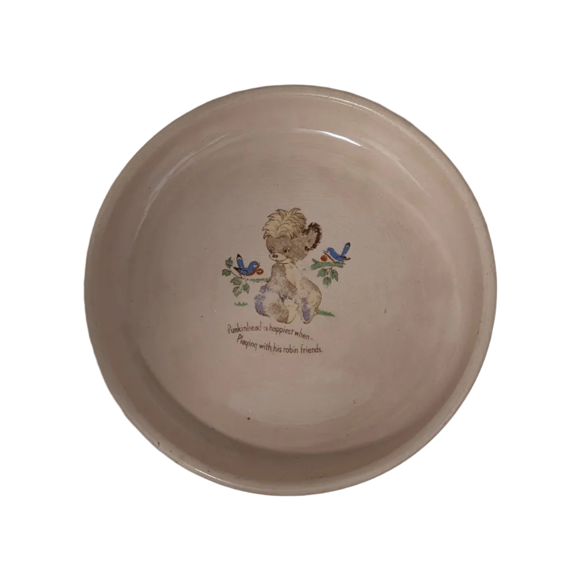 Vintage Royal Art Pottery Plate - Punkinhead with Robin Friends