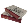 War and Peace by Leo Tolstoy 