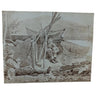 Winslow Homer "Camping Out in the Adirondack Mountains"