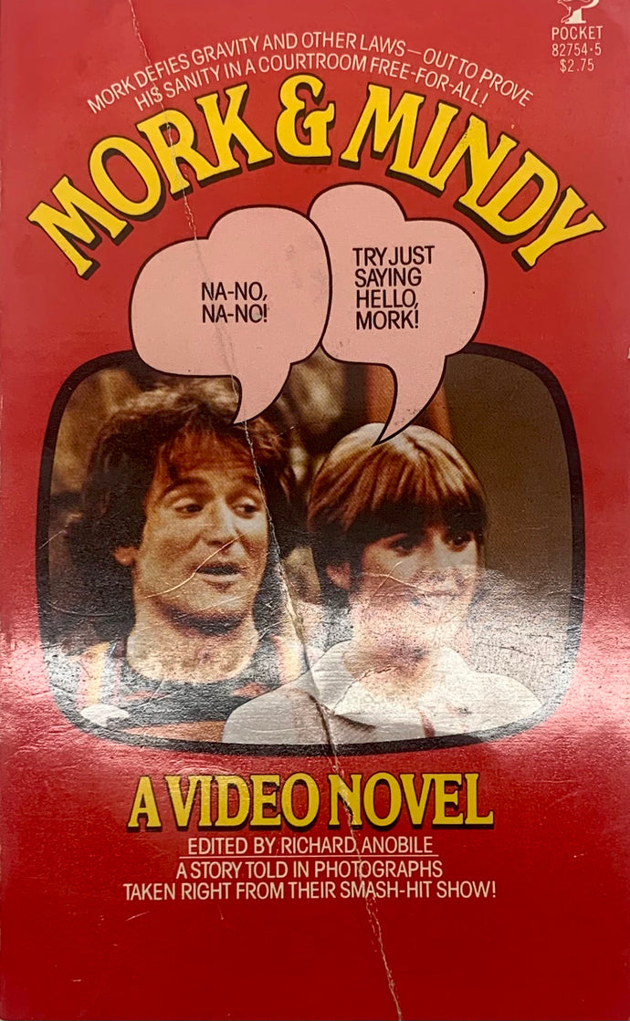 Mork & Mindy a Video Novel